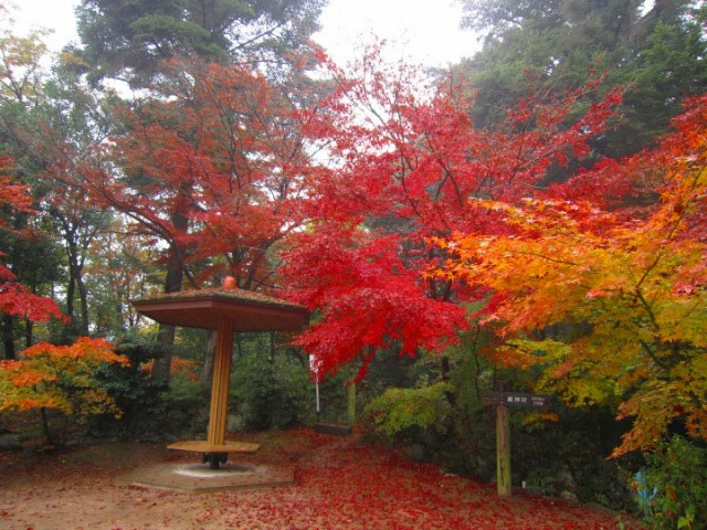 紅葉公園 滋賀県観光情報 公式観光サイト 滋賀 びわ湖のすべてがわかる