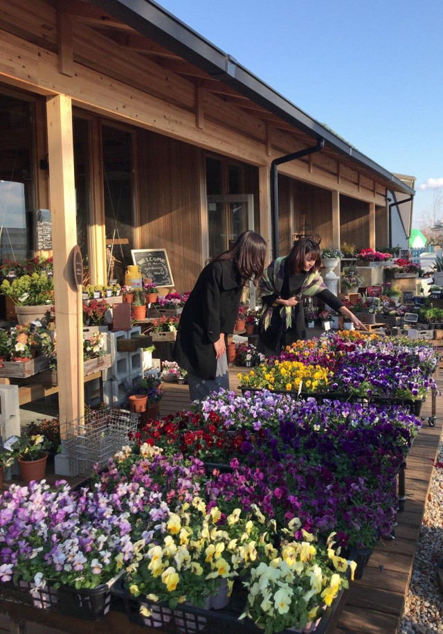 Ai彩ひろば 滋賀県観光情報 公式観光サイト 滋賀 びわ湖のすべてがわかる