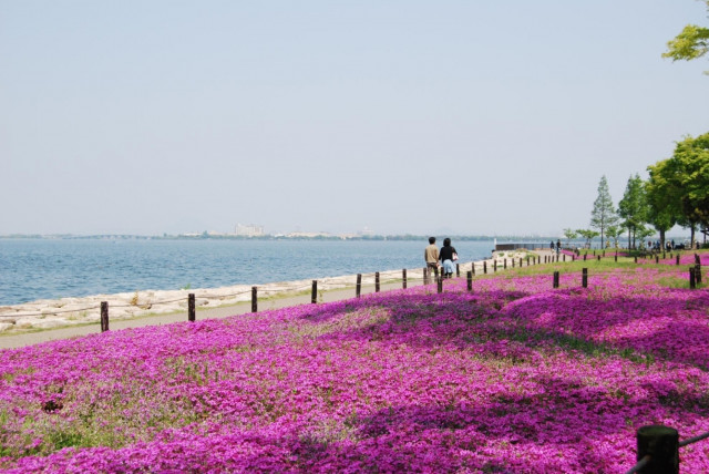 なぎさ公園 大津市 滋賀県観光情報 公式観光サイト 滋賀 びわ湖のすべてがわかる