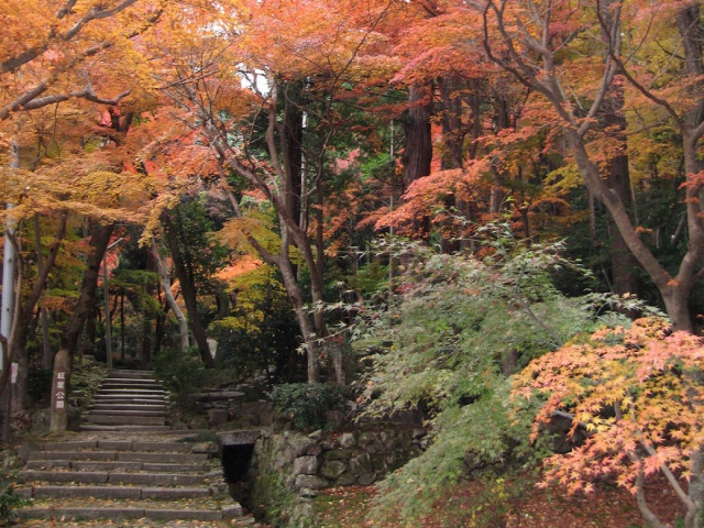 紅葉公園 滋賀県観光情報 公式観光サイト 滋賀 びわ湖のすべてがわかる 紅葉公園 滋賀県観光情報 公式観光サイト 滋賀 びわ湖のすべてがわかる