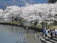 三島池  滋賀県観光情報［公式観光サイト］滋賀・びわ湖のすべてが 