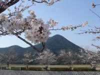 滋賀県立近江富士花緑公園 滋賀県観光情報 公式観光サイト 滋賀 びわ湖のすべてがわかる